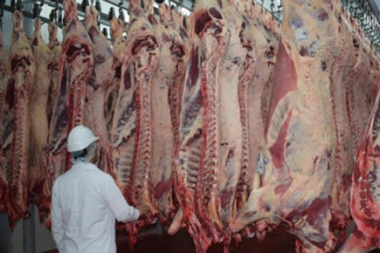 Las exportaciones de carne crecieron 8,4% en 2020 