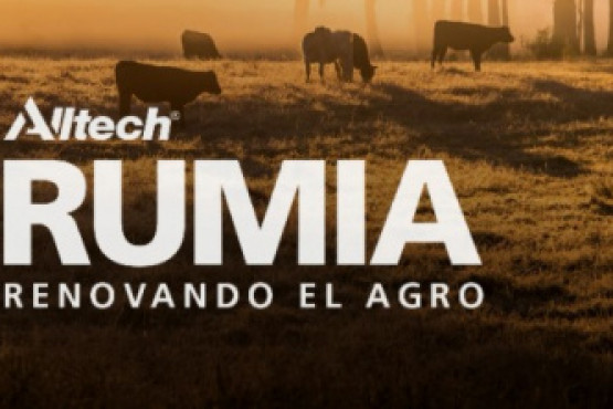 Alltech realizará un foro sobre la nueva normalidad en la industria ganadera