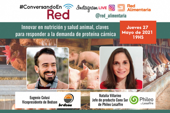 Innovar en nutrición y salud animal, claves para responder a la demanda de proteína cárnica