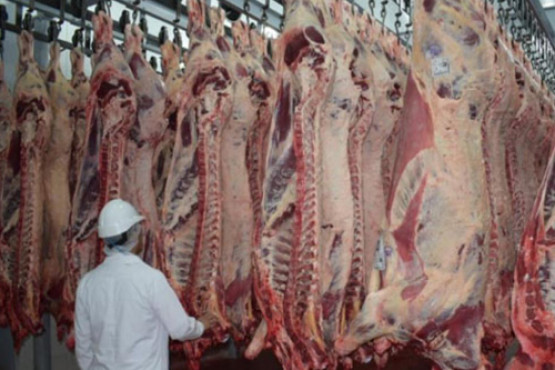 El IPCVA analiza los efectos negativos del cierre parcial a las exportaciones de carne