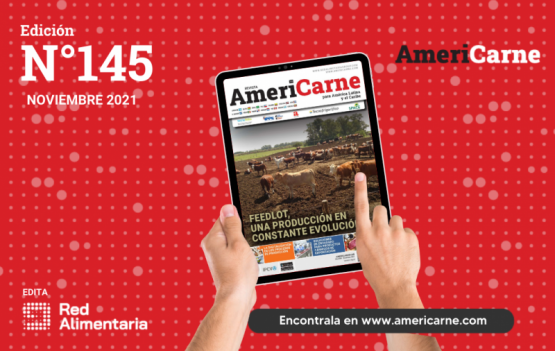 Feedlot, una producción intensivamente cuestionada