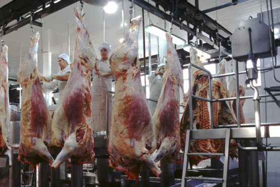 Las exportaciones de carne vacuna llegaron a las 741 mil toneladas en octubre