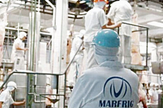Marfrig fue elegida como mejor empresa de proteína bovina en el ranking FAIRR Global 