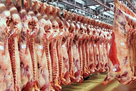 El gobierno argentino impuso nuevas medidas para la exportación de carne vacuna hasta el año 2023