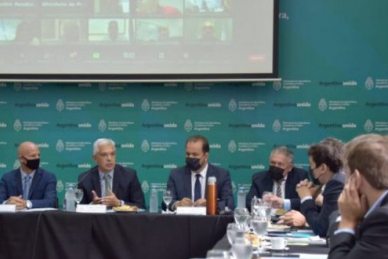 Se reunió el Consejo Federal Agropecuario para analizar la producción ganadera y el Plan 2022-2023