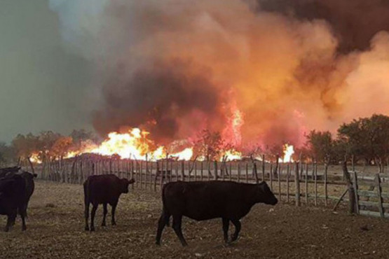 Organizaciones ganaderas repudian lo dicho por ministro de Ambiente ante los incendios del litoral