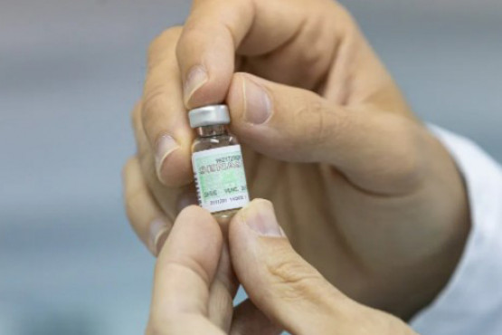 SENASA aprobó la primera vacuna biotecnológica mundial contra la rabia animal