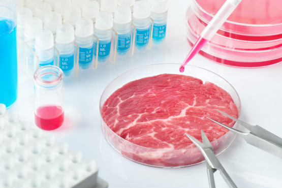 4 retos tecnológicos para la transformación de carne de laboratorio a escala industrial