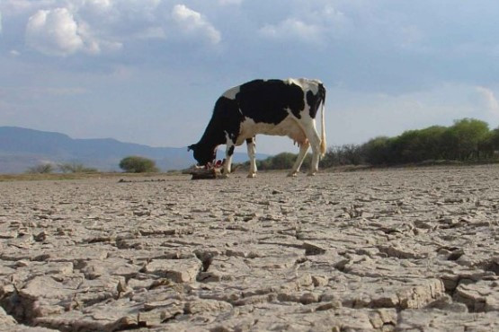 Sociedad Rural de Rosario: “Por la sequía este año faltarán entre 12 y 15 mil millones de dólares”