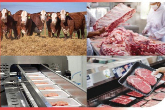 Red Alimentaria abrió inscripción a la 7a Jornada de Ciencia y Tecnología Aplicada en Carne Bovina