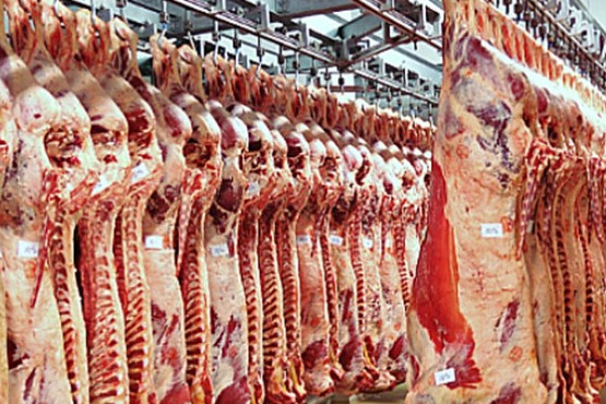 Avanzan en una “declaración ambiental de producto” para la carne argentina de exportación