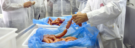 Curso internacional IRTA en Tecnología de Productos Cárnicos: 