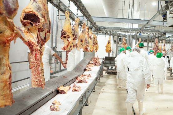 Israel habilita las exportaciones uruguayas de carne con hueso 