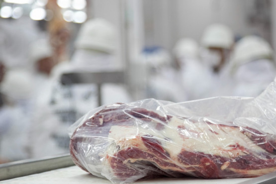 Agricultura asignó la cuota de exportación de carne argentina sin hueso a Estados Unidos