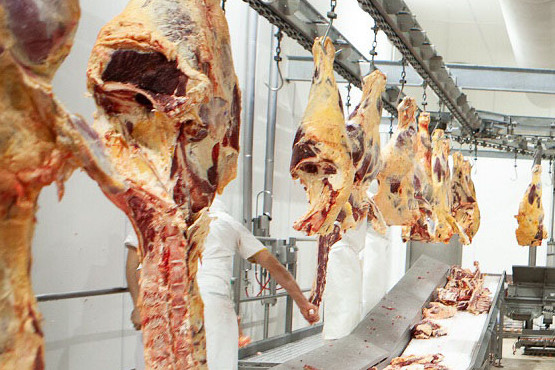 Argentina busca abrir el mercado para la exportación de carne bovina con hueso a Israel