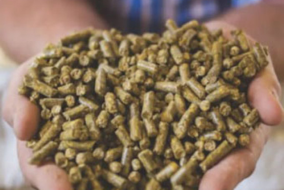 Alltech presentó los datos de su encuesta global sobre la producción de alimento balanceado