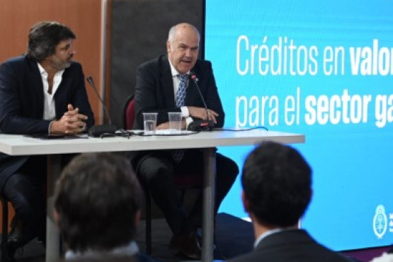 El Gobierno Nacional lanzó créditos en kilos de novillo para aumentar el stock ganadero