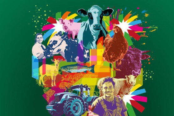 La Inteligencia Agrícola cobra protagonismo en la Space 2025