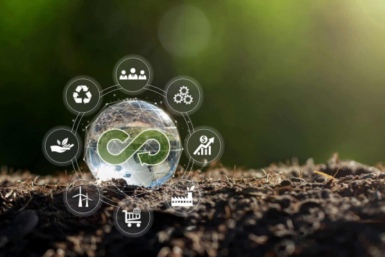 Economía Circular: La valoración de efluentes bovinos