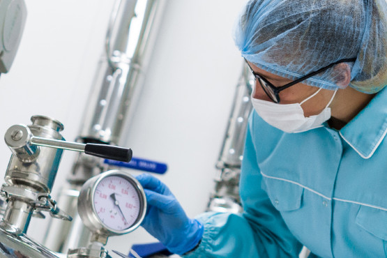 INTI realiza webinar sobre validación y verificación en equipos de procesamiento de alimentos