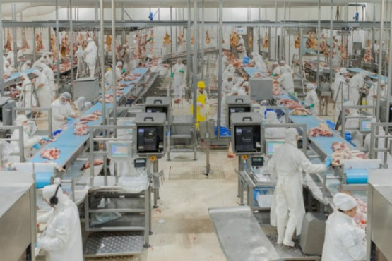 Senasa actualiza criterios para el bienestar animal en procesos de inspección