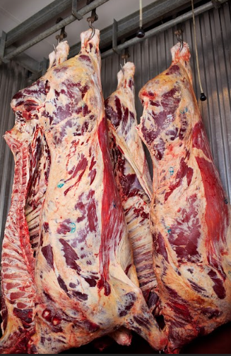 La importancia de la refrigeración en cada proceso de la industria frigorífica