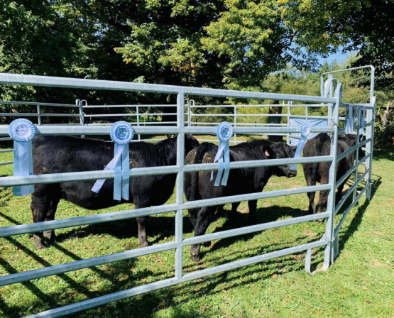 Ver para creer, una estrategia para vender nuestras carnes al mundo