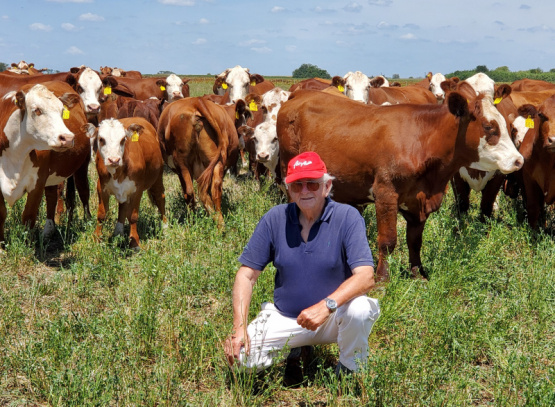 Sistemas Productivos y la Calidad de la Carne Vacuna