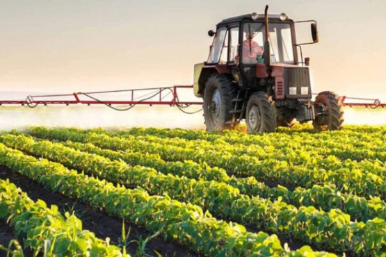 La CNV habilitó el primer fideicomiso financiero con oferta pública para adquirir campos tokenizados