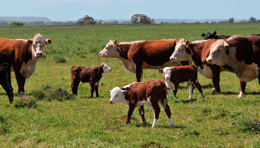 CRA, Fundación CRA y UCA lanzan la 3a edición de la Diplomatura en Políticas Públicas Agropecuarias