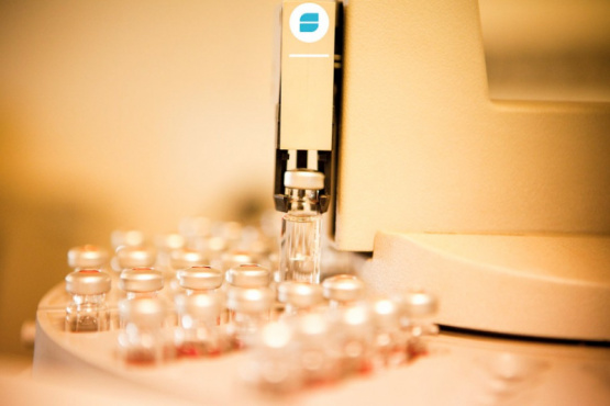 Senasa admite la importación de vacunas para algunas enfermedades del ganado bovino