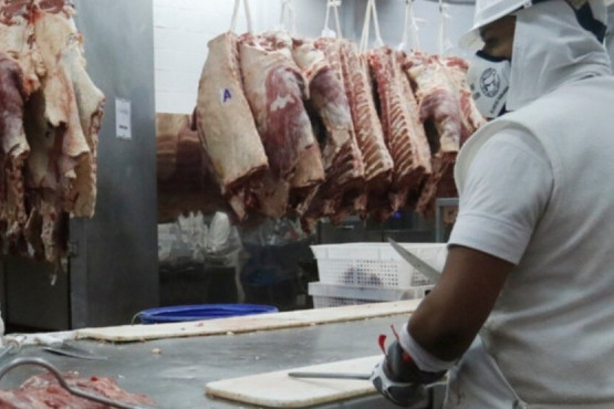 En enero las exportaciones agroindustriales tuvieron un nuevo récord