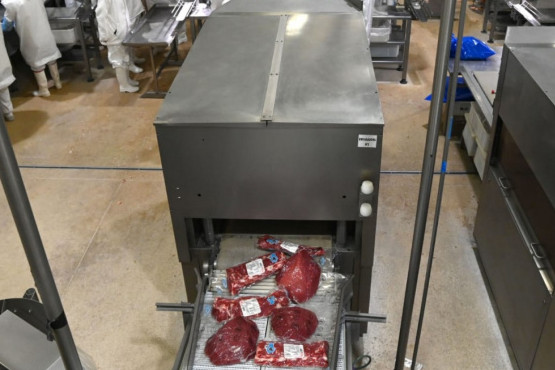 Japón aprobó un informe de análisis de riesgo clave para exportar carne vacuna desde Argentina