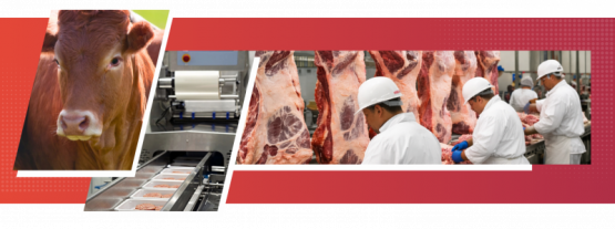 La cadena cárnica se prepara para un nuevo punto de encuentro regional