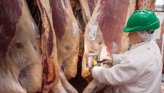 VISEC Carne: la herramienta para mantener el acceso de la carne argentina a los mercados más exigentes