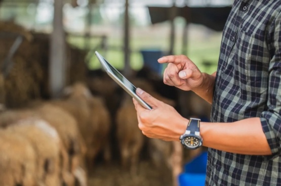 Animal Tech 4.0, la evolución que transforma a la ganadería